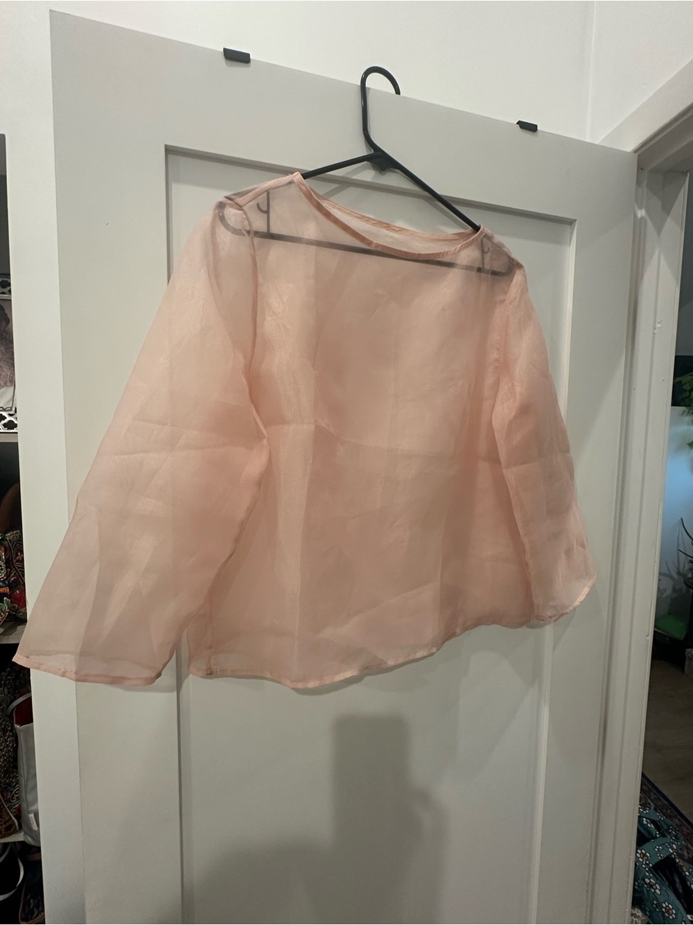 Sheer Pale Pink Long Sleeve Blouse